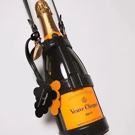 Willa Le De L'echappee Champenoise