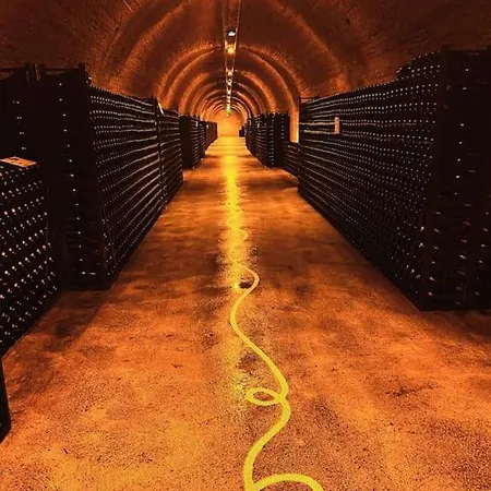 Le De L'echappee Champenoise Willa *