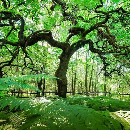 Villa Le De L'echappee Champenoise *