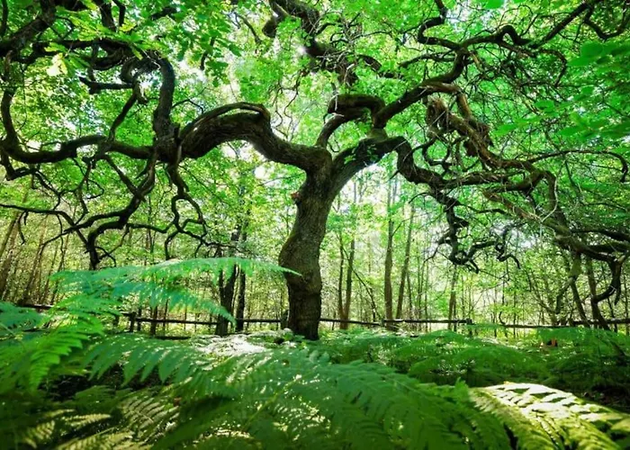 Villa Le De L'echappee Champenoise *